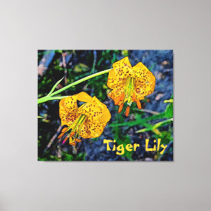 Tiger Lily Leinwanddruck