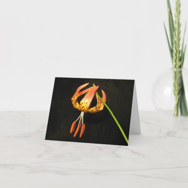 Tiger Lily Note Card Karte (Vorderseite)