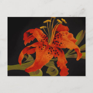 Tiger-Lily-Postkarte Postkarte