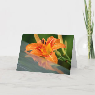 Tiger Lily Reflection Karte