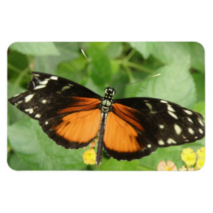 Tiger Longwing Butterfly Flexi Magnet