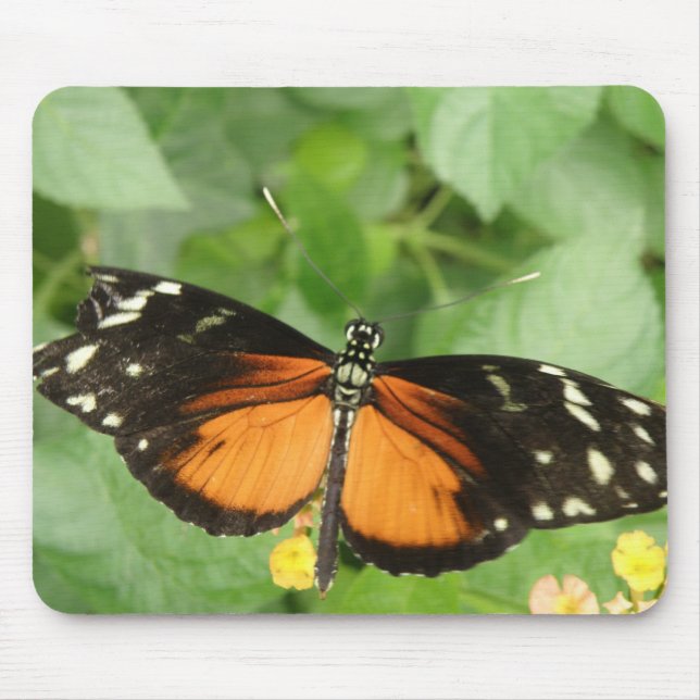 Tiger Longwing Butterfly Mousepad (Vorne)