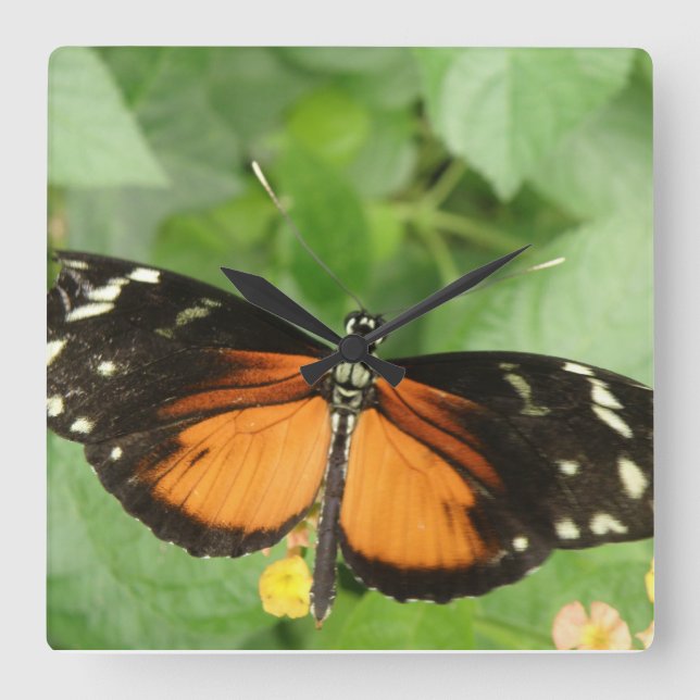 Tiger Longwing Butterfly Wall Clock Quadratische Wanduhr (Vorderseite)