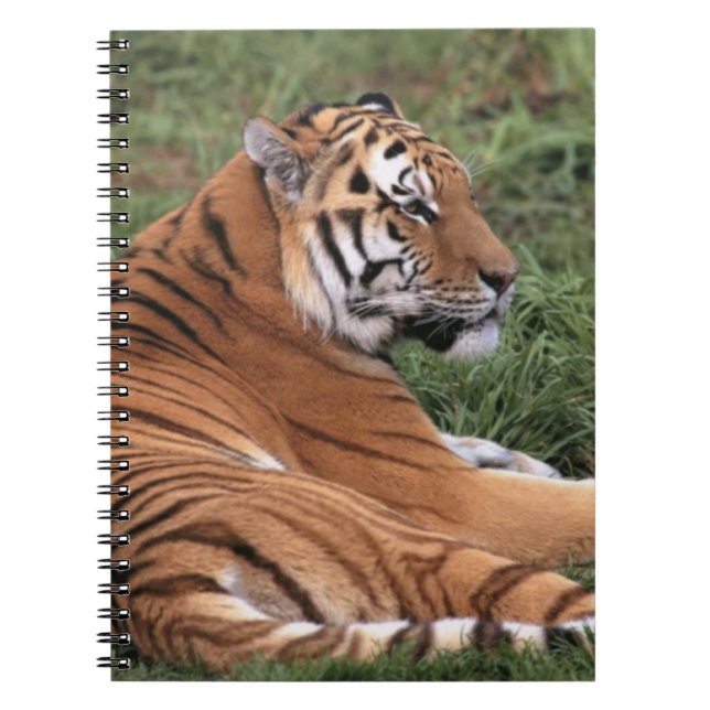 TIger Lounging auf Grass-Notebook Notizblock (Vorderseite)