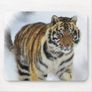 Tiger Lovers Kunst Mousepad