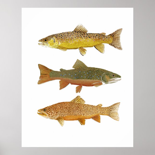 Tiger machen poster (Vorne)