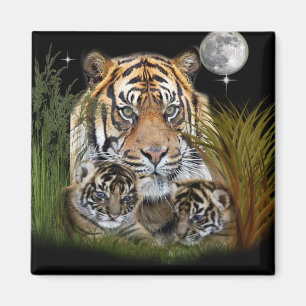 Tiger Magnet