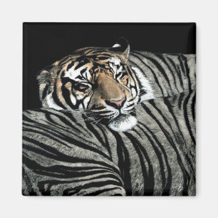 Tiger-Magnet #1 - "schlafende Muster " Magnet