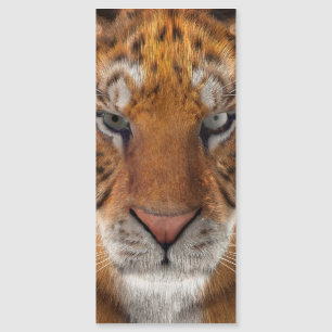 Tiger Magnetkarte