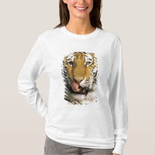 Tiger Michigan Zoo T-Shirt