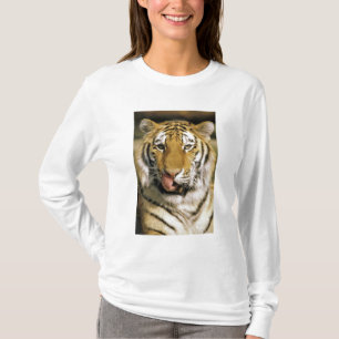 Tiger Michigan Zoo T-Shirt