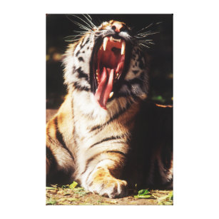 Tiger mit dem Mund offen Leinwanddruck