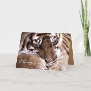 Tiger mit einem heart_ karte