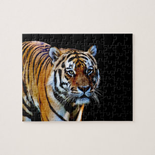 Tiger mit schwarzem Hintergrund Puzzle