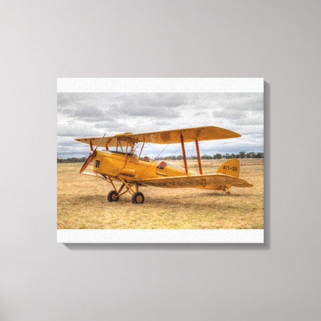 Tiger Moth Leinwanddruck (Vorderseite)