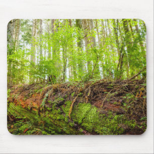 Tiger Mountain Issaquah, Bundesstaat Washington Mousepad