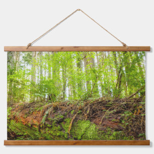 Tiger Mountain Issaquah, Bundesstaat Washington Wandteppich Mit Holzrahmen
