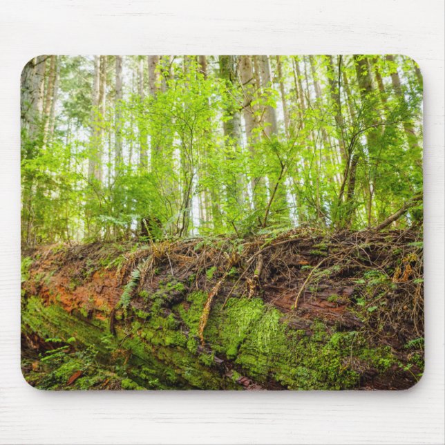 Tiger Mountain | Issaquah, Staat Washington Mousepad (Vorne)