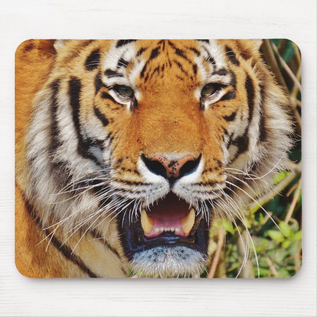Tiger Mousepad (Vorne)