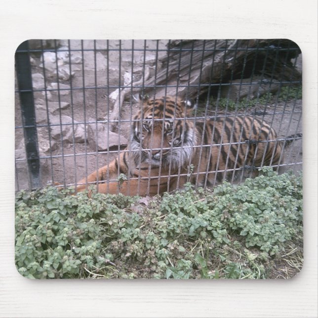 Tiger Mousepad (Vorne)