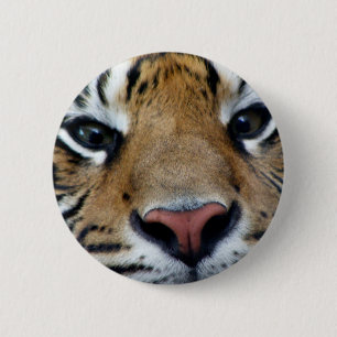Tiger mustert Knopf Button