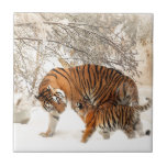 Tiger Mutter und Kind Fliese<br><div class="desc">Tiger Mutter und Kind</div>