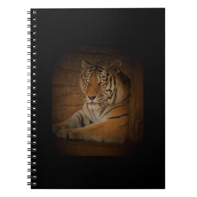Tiger-Notebook Notizblock (Vorderseite)