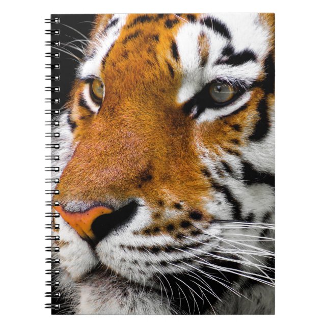 Tiger Notizblock (Vorderseite)