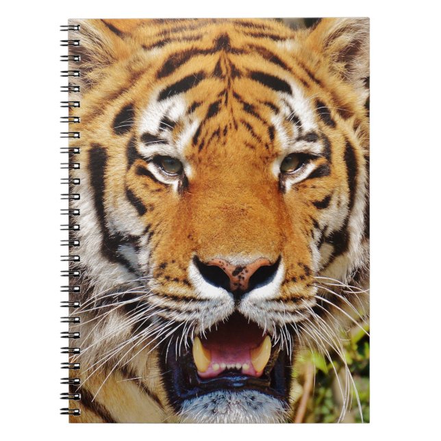 Tiger Notizblock (Vorderseite)