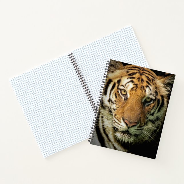 Tiger Notizbuch (Innenseite)