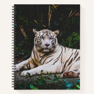 Tiger Notizbuch