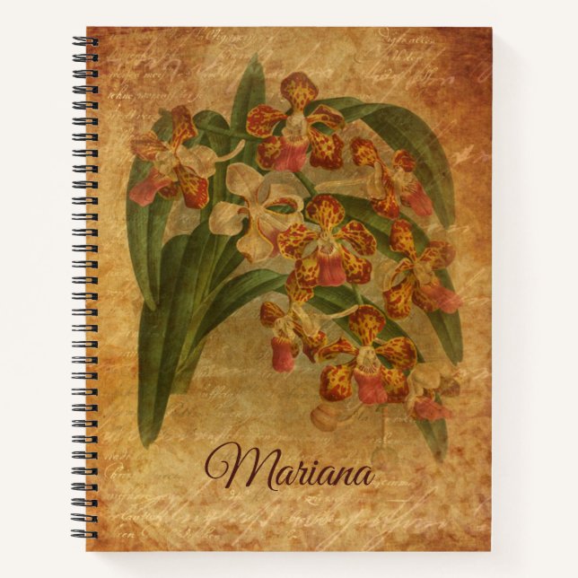 Tiger Orchid Vintag Paper Style Art Notizbuch (Vorderseite)