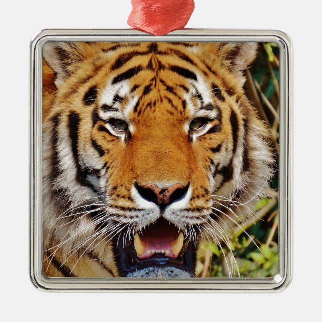 Tiger Ornament Aus Metall (Vorne)