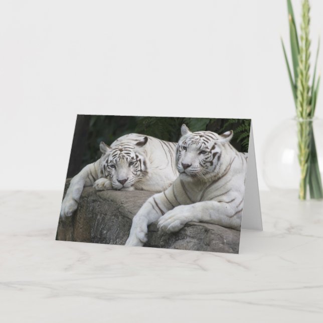 Tiger-Paare Karte (Vorderseite)