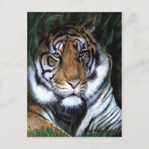 Tiger Painting Postcard Postkarte