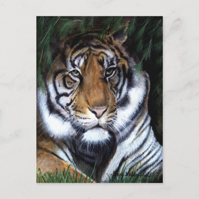 Tiger Painting Postcard Postkarte (Vorderseite)
