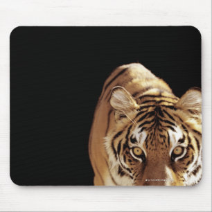 Tiger (Panthera der Tigris) Mousepad