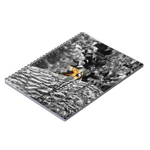 Tiger Peek-a-boo Notizbuch Notizblock
