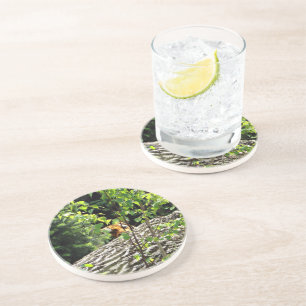 Tiger Peek-a-boo Sandstein-Achterbahn Untersetzer