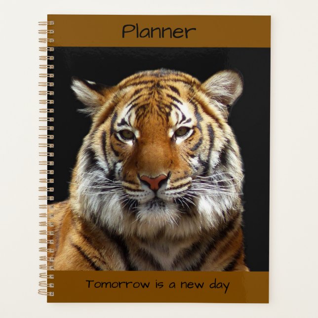 Tiger Planer (Vorderseite)