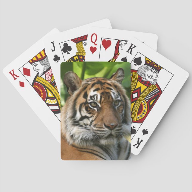 Tiger Playing Cards Spielkarten (Rückseite)