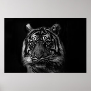 TIGER PORTRAIN IN BW POSTER