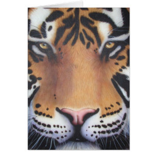 Tiger Portrait
