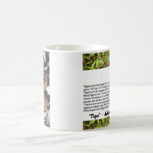 Tiger Portrait Kaffeetasse