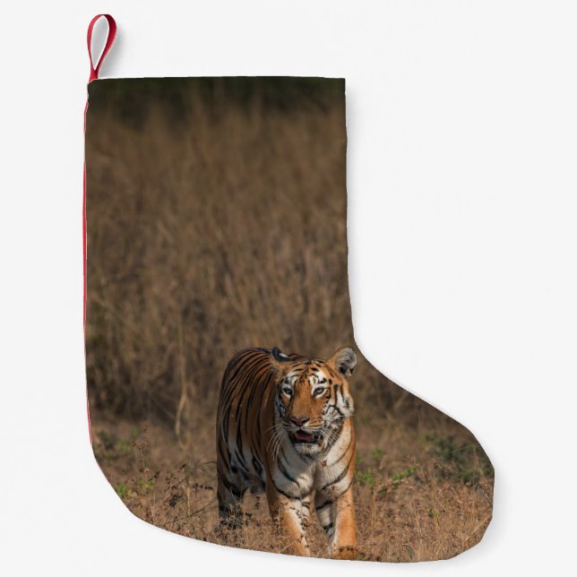 TIGER PORTRAIT KLEINER WEIHNACHTSSTRUMPF (Vorderseite)
