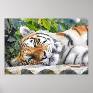 Tiger-Portrait Poster