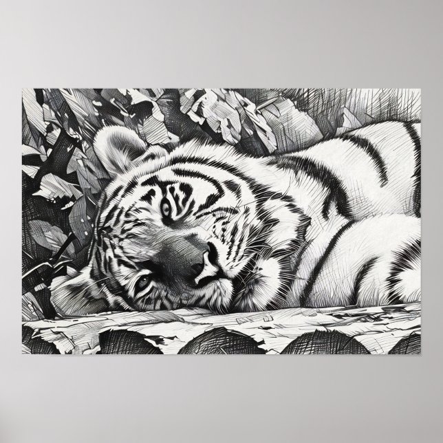 Tiger-Portrait Poster (Vorne)