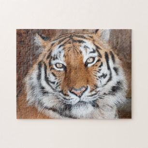 Tiger Portrait Puzzle