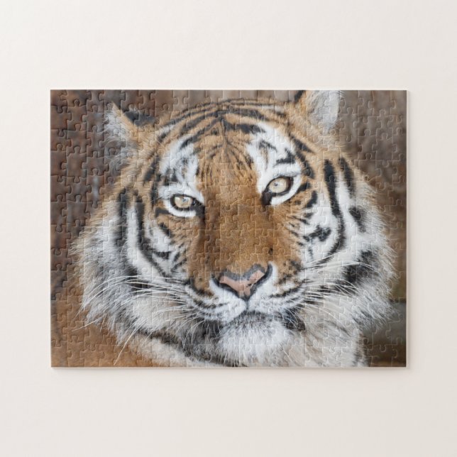 Tiger Portrait Puzzle (Horizontal)