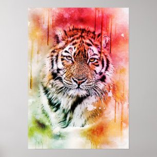 Tiger-Porträt-Gesichts-Aquarell-grafische Kunst Poster